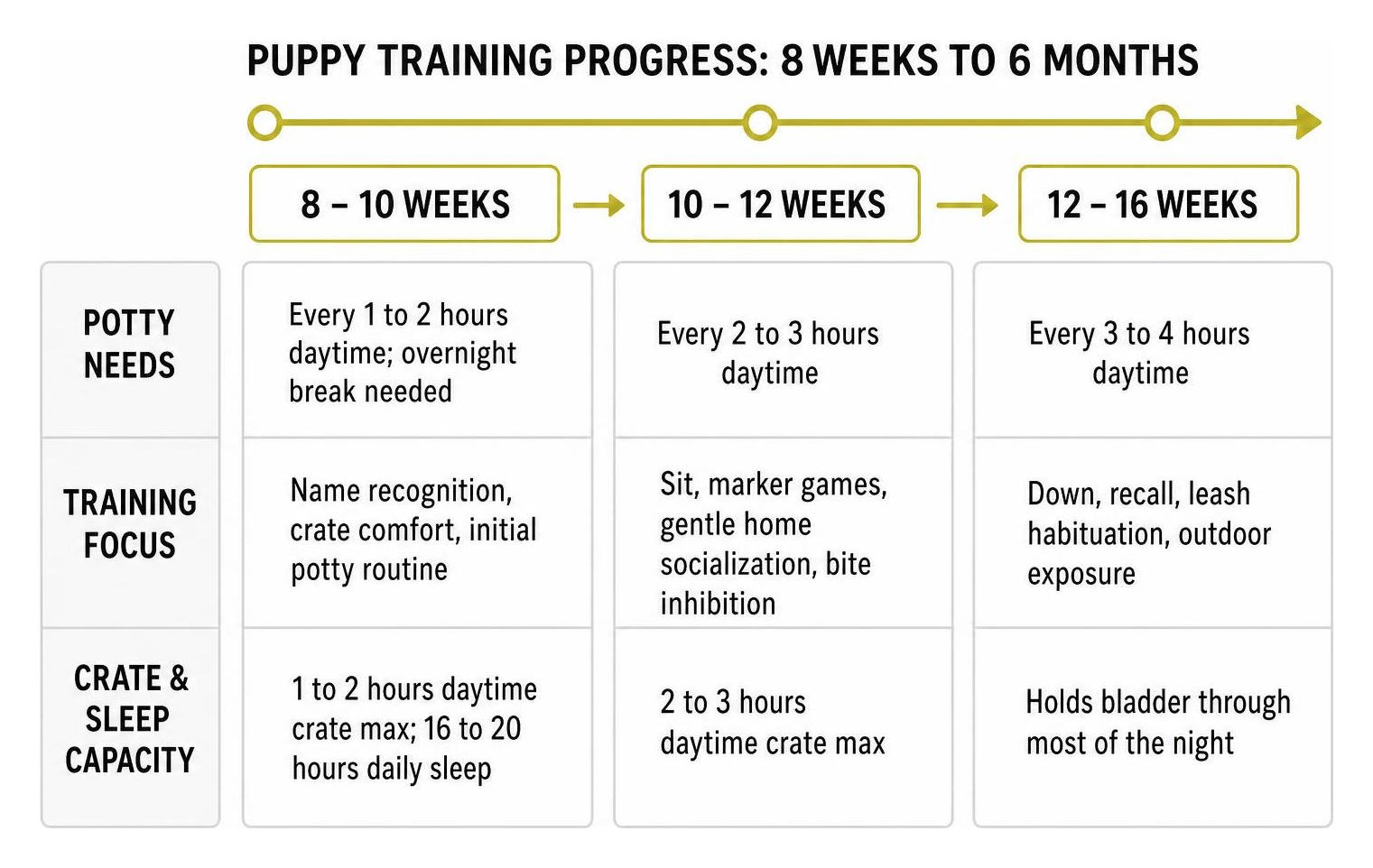 Puppy training progress chart from 8 weeks to 6 months