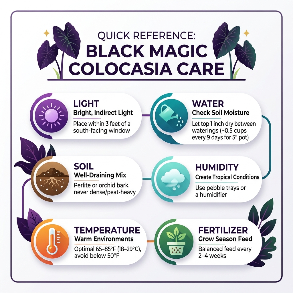 Black Magic Colocasia care infographic: light, water, soil, humidity, temperature, fertilizer quick reference - black magic Black Magic Colocasia care infographic: light, water, soil, humidity, temperature, fertilizer quick reference - black magic