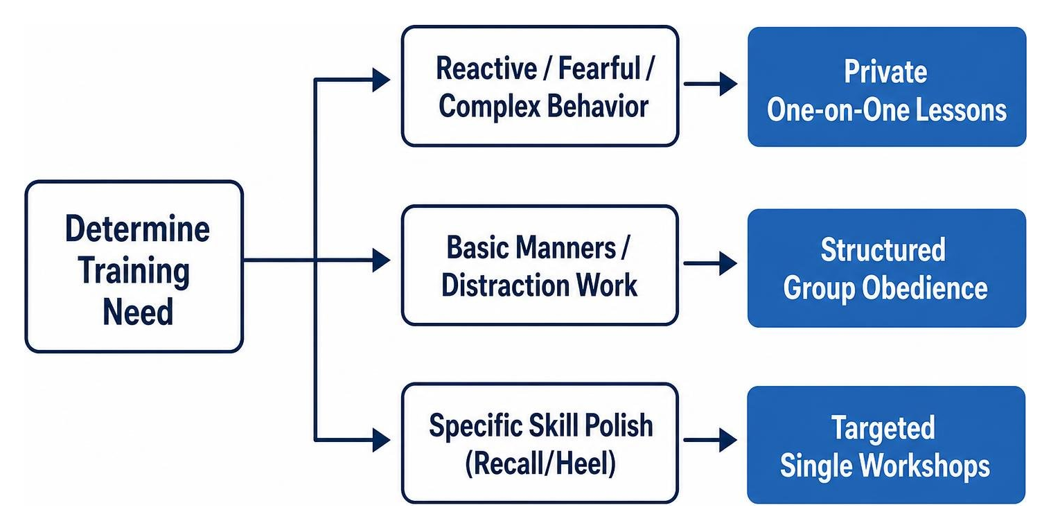 Decision path for choosing training format Decision path for choosing training format