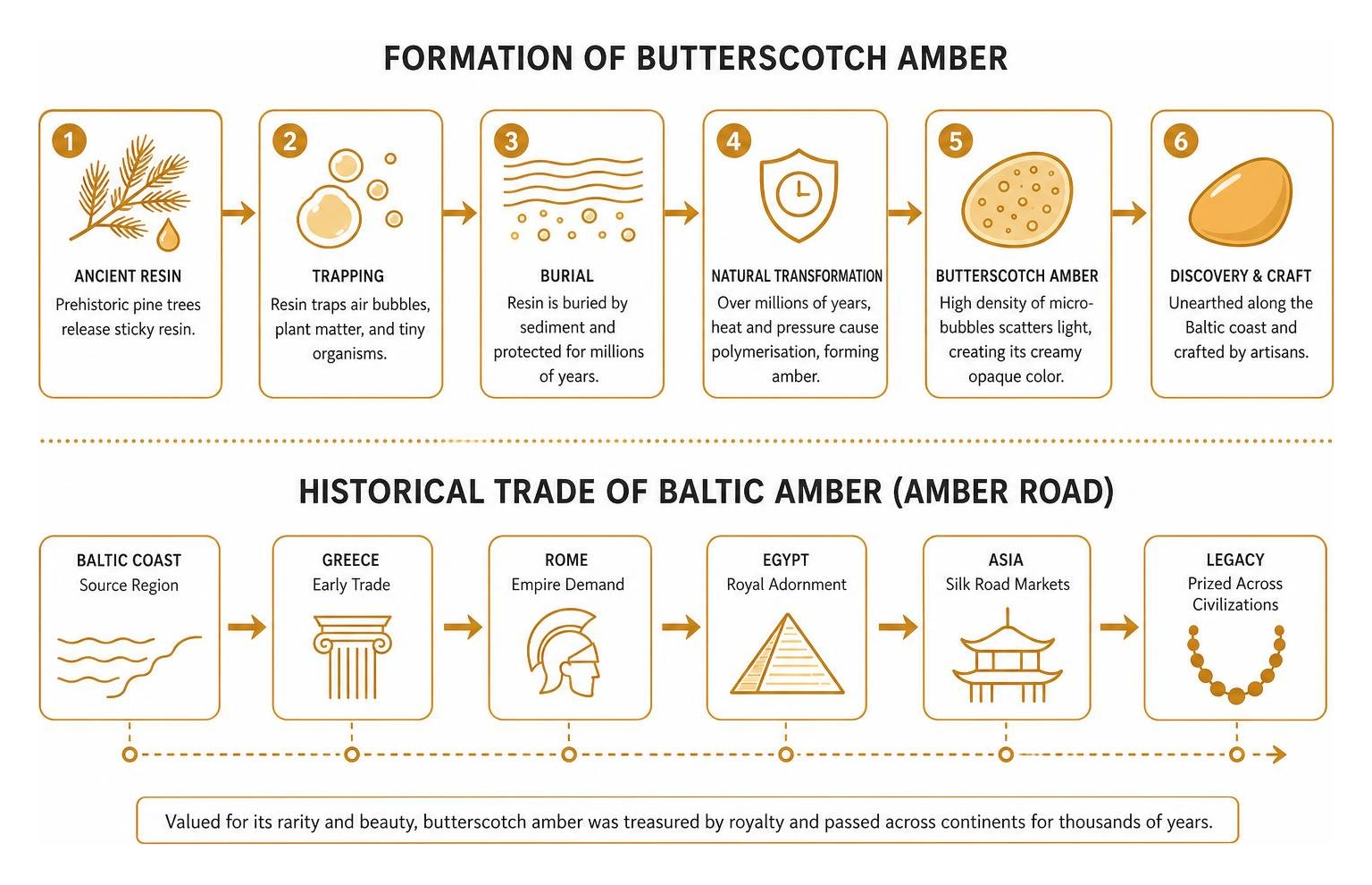 Process of butterscotch amber formation and historical trade