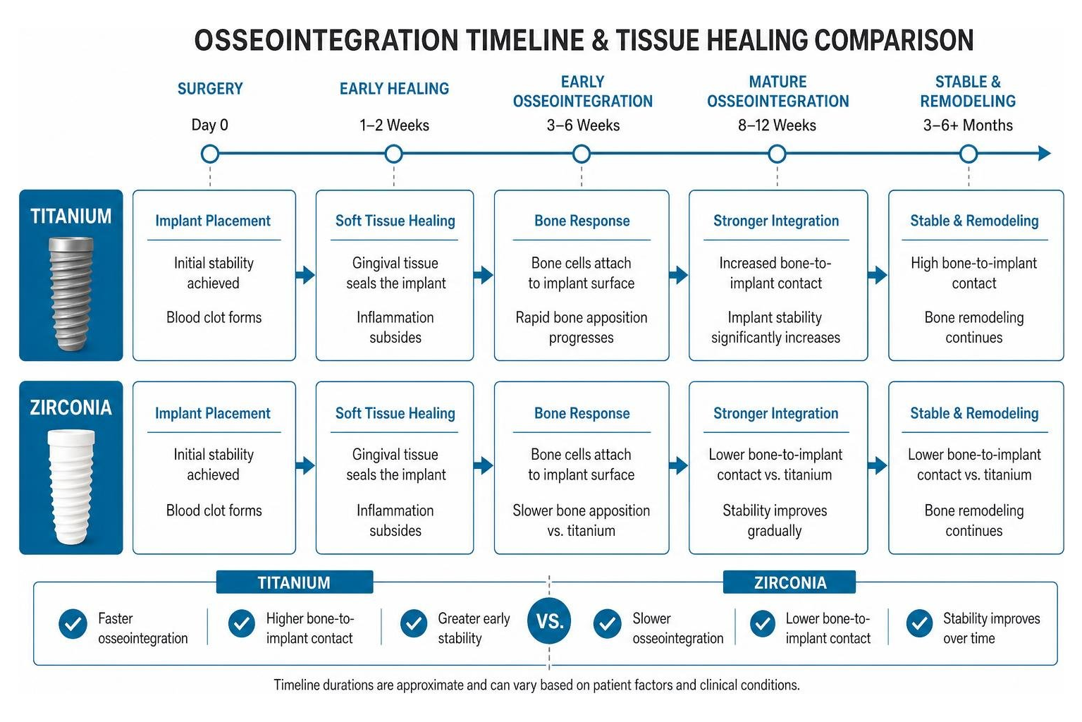 Diagram showing the osseointegration timeline and tissue healing comparison for titanium vs zirconia