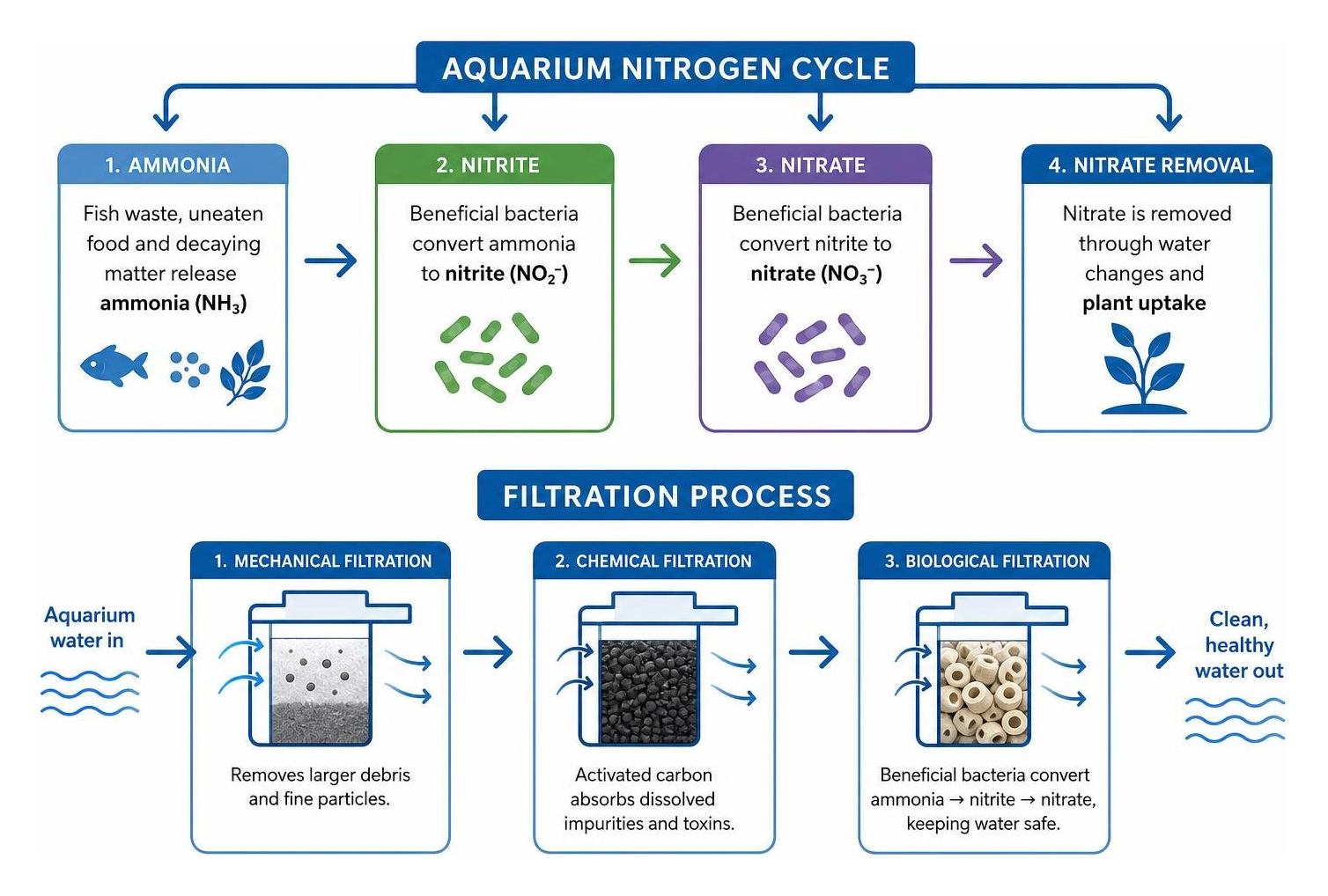 Aquarium nitrogen cycle and filtration process diagram