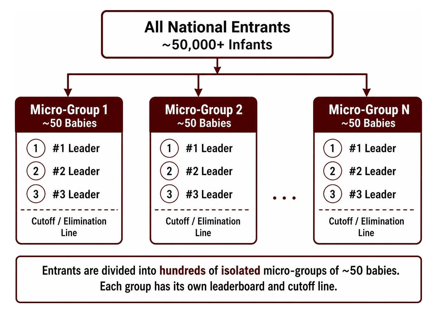 Diagram illustrating the segmentation of national entrants into hundreds of isolated 50-baby micro-groups Diagram illustrating the segmentation of national entrants into hundreds of isolated 50-baby micro-groups