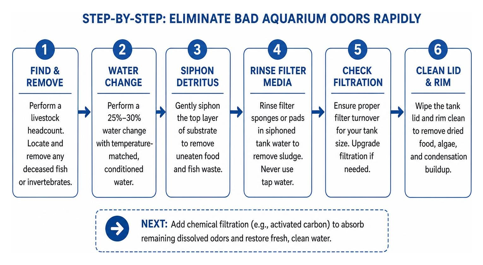 step-by-step process to eliminate bad aquarium odours rapidly