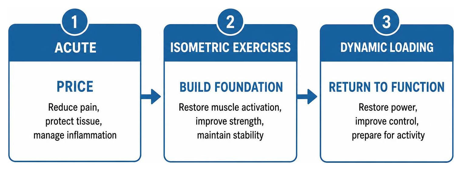 Diagram showing progression from acute PRICE to isometric exercises to dynamic loading Diagram showing progression from acute PRICE to isometric exercises to dynamic loading