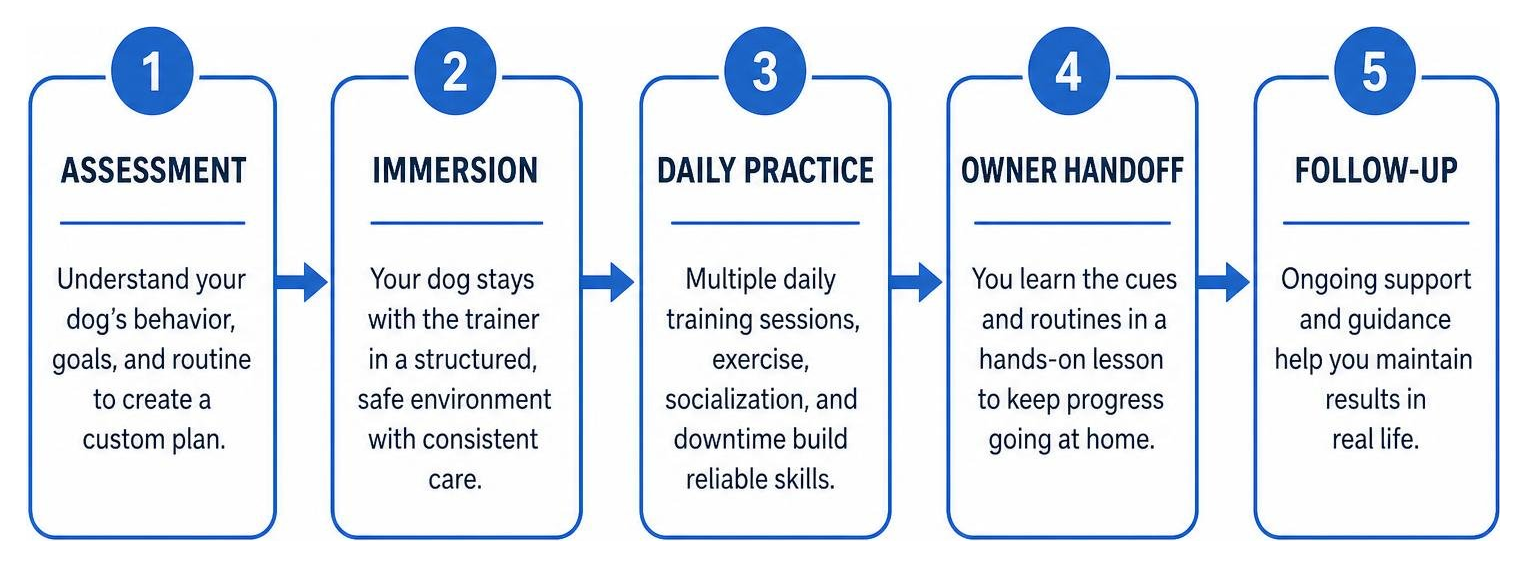 Step-by-step board and train process: assessment, immersion, daily practice, owner handoff, follow-up Step-by-step board and train process: assessment, immersion, daily practice, owner handoff, follow-up