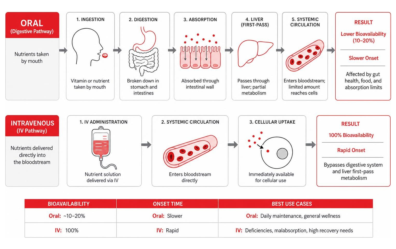 diagram of the nutrient absorption process comparing oral vs intravenous pathways