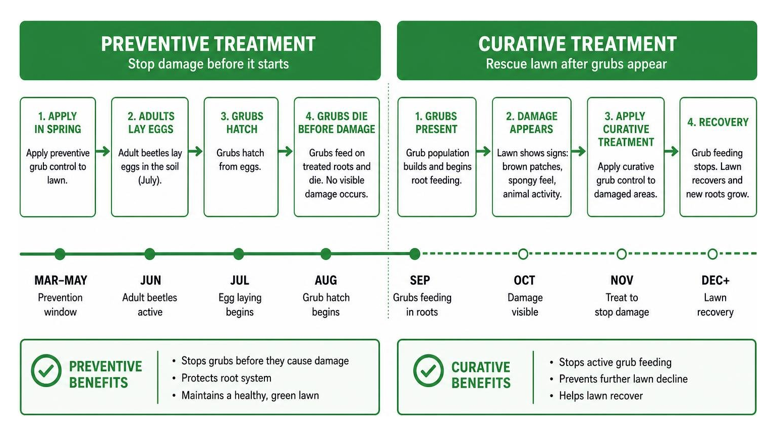 Preventive vs Curative grub treatment timeline diagram