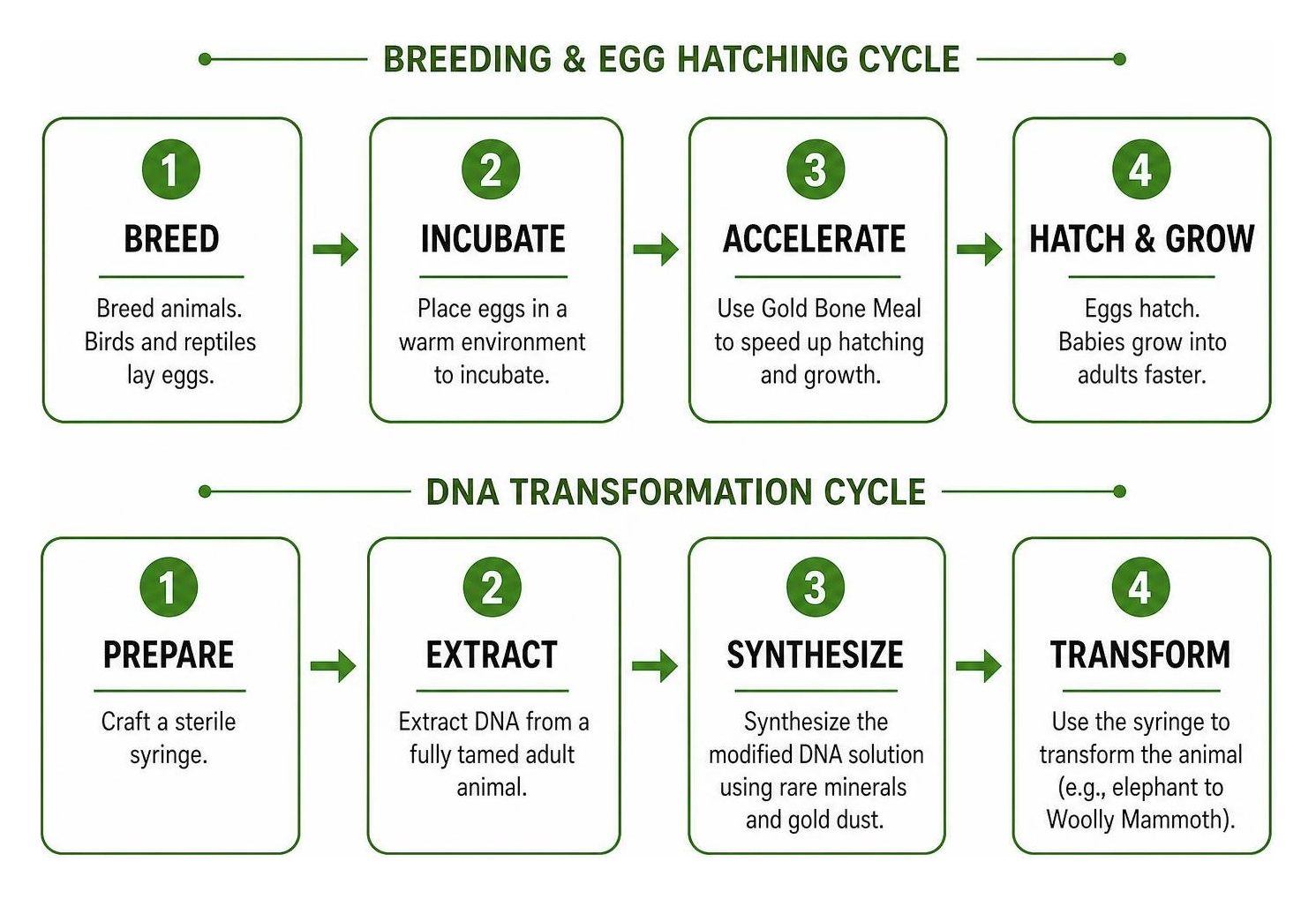 step by step breeding egg hatching and DNA transformation cycle step by step breeding egg hatching and DNA transformation cycle