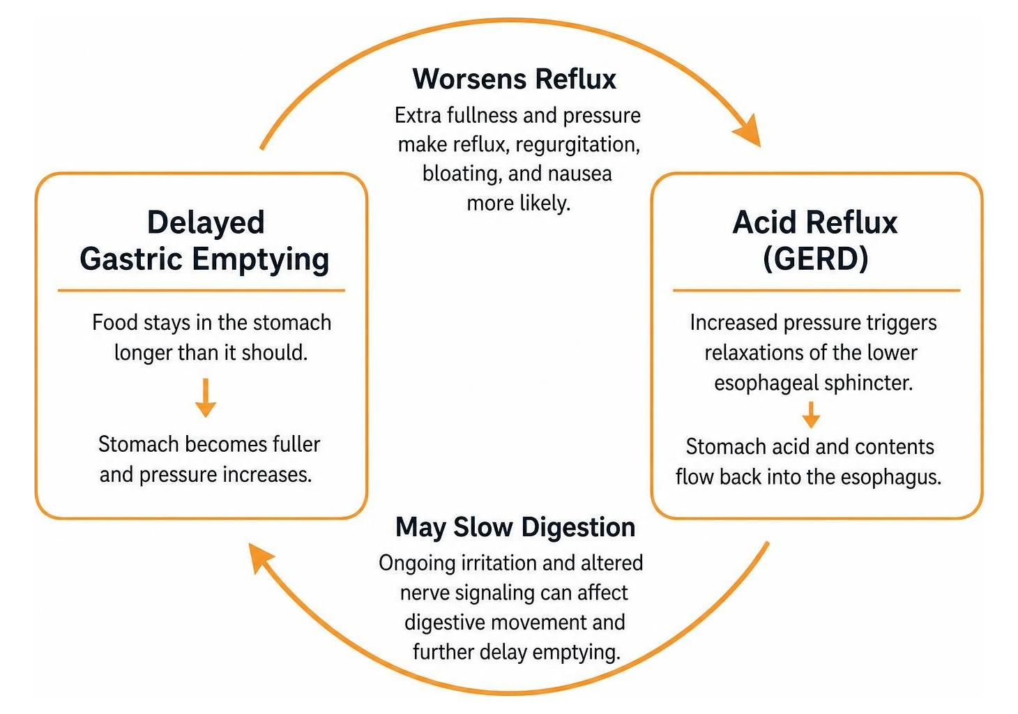Diagram illustrating the cyclical feedback loop between delayed gastric emptying and acid reflux