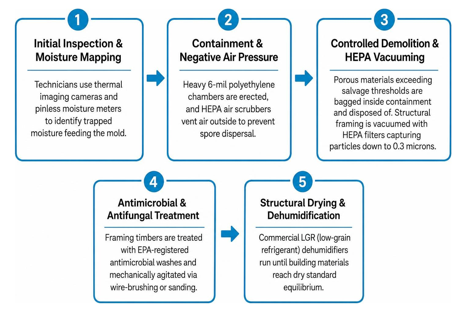 Step-by-step mold remediation process diagram Step-by-step mold remediation process diagram