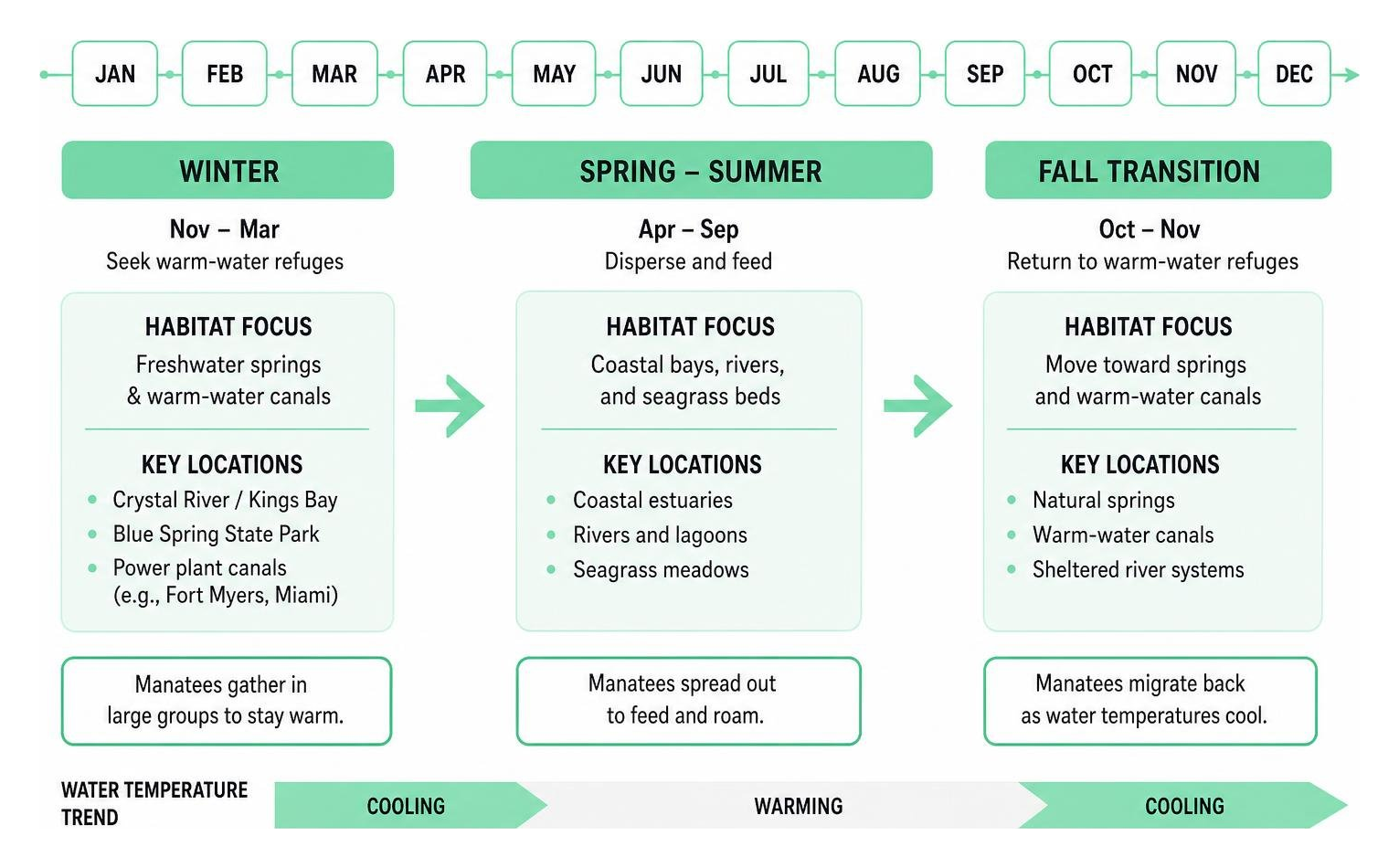 Visual timeline of manatee seasonal migration and habitat shifts throughout the year Visual timeline of manatee seasonal migration and habitat shifts throughout the year