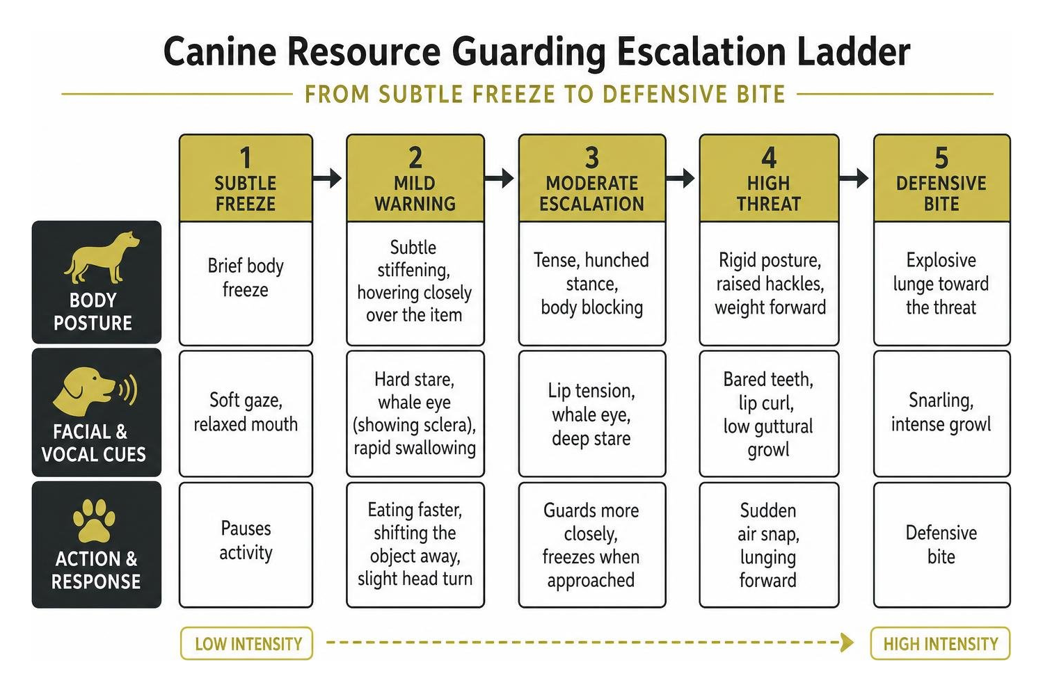 Canine resource guarding escalation ladder from subtle freeze to defensive bite Canine resource guarding escalation ladder from subtle freeze to defensive bite