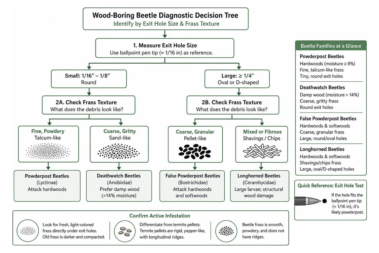 Diagnostic decision tree comparing exit hole sizes and frass textures for beetle identification