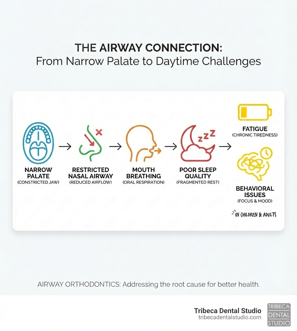 Infographic showing the connection between a narrow palate, restricted nasal airway, mouth breathing, poor sleep quality, and daytime symptoms like fatigue and behavioral issues in children and adults - airway orthodontics infographic Infographic showing the connection between a narrow palate, restricted nasal airway, mouth breathing, poor sleep quality, and daytime symptoms like fatigue and behavioral issues in children and adults - airway orthodontics infographic