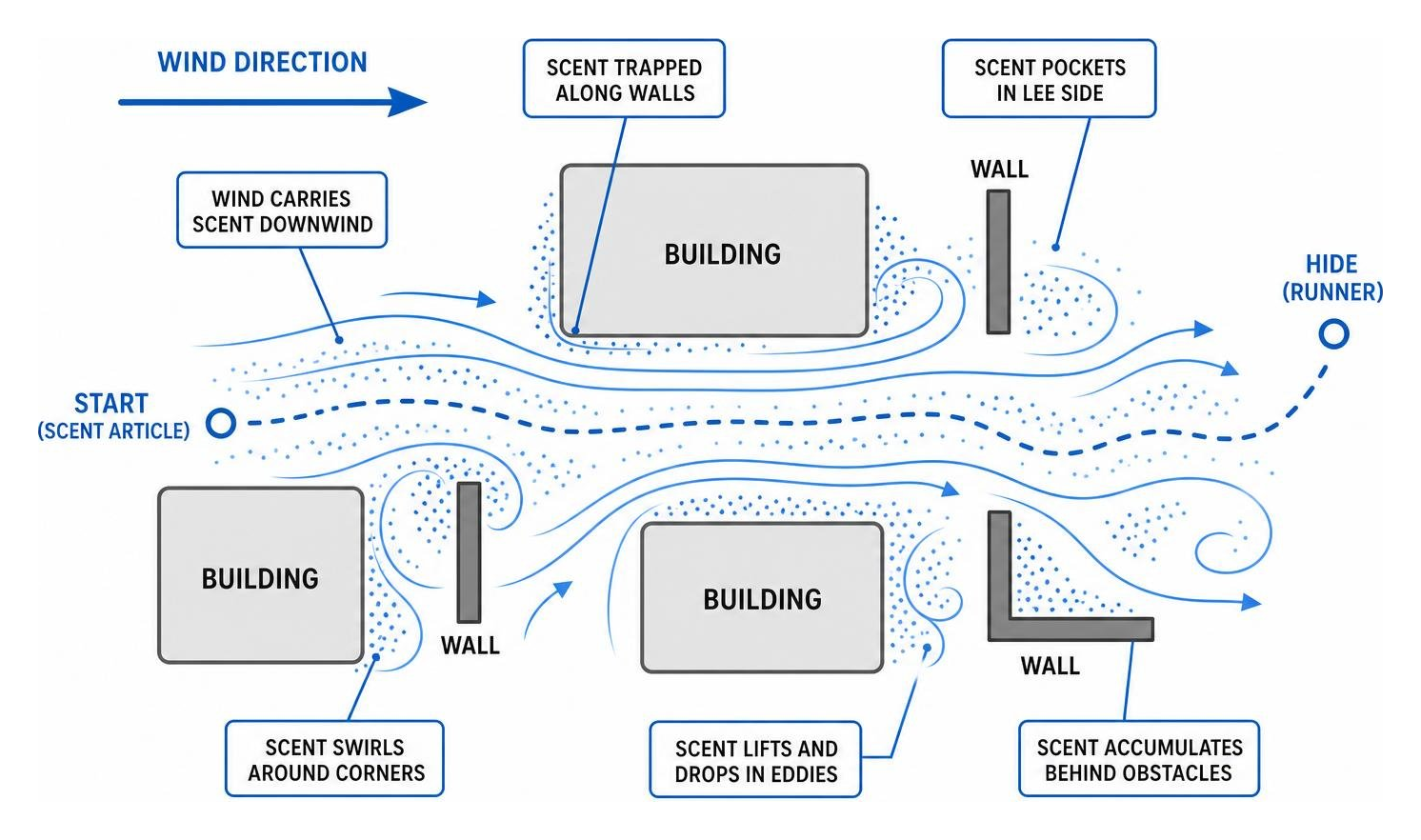diagram of wind currents carrying scent around urban obstacles like buildings and walls diagram of wind currents carrying scent around urban obstacles like buildings and walls