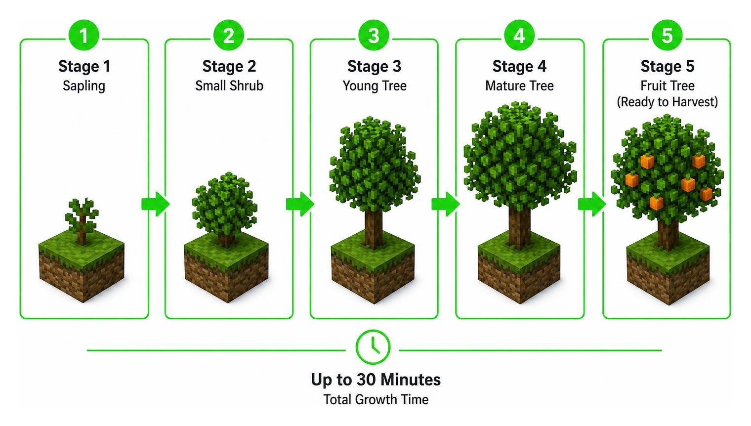 Diagram showing the 5-stage growth process of the orange tree block Diagram showing the 5-stage growth process of the orange tree block