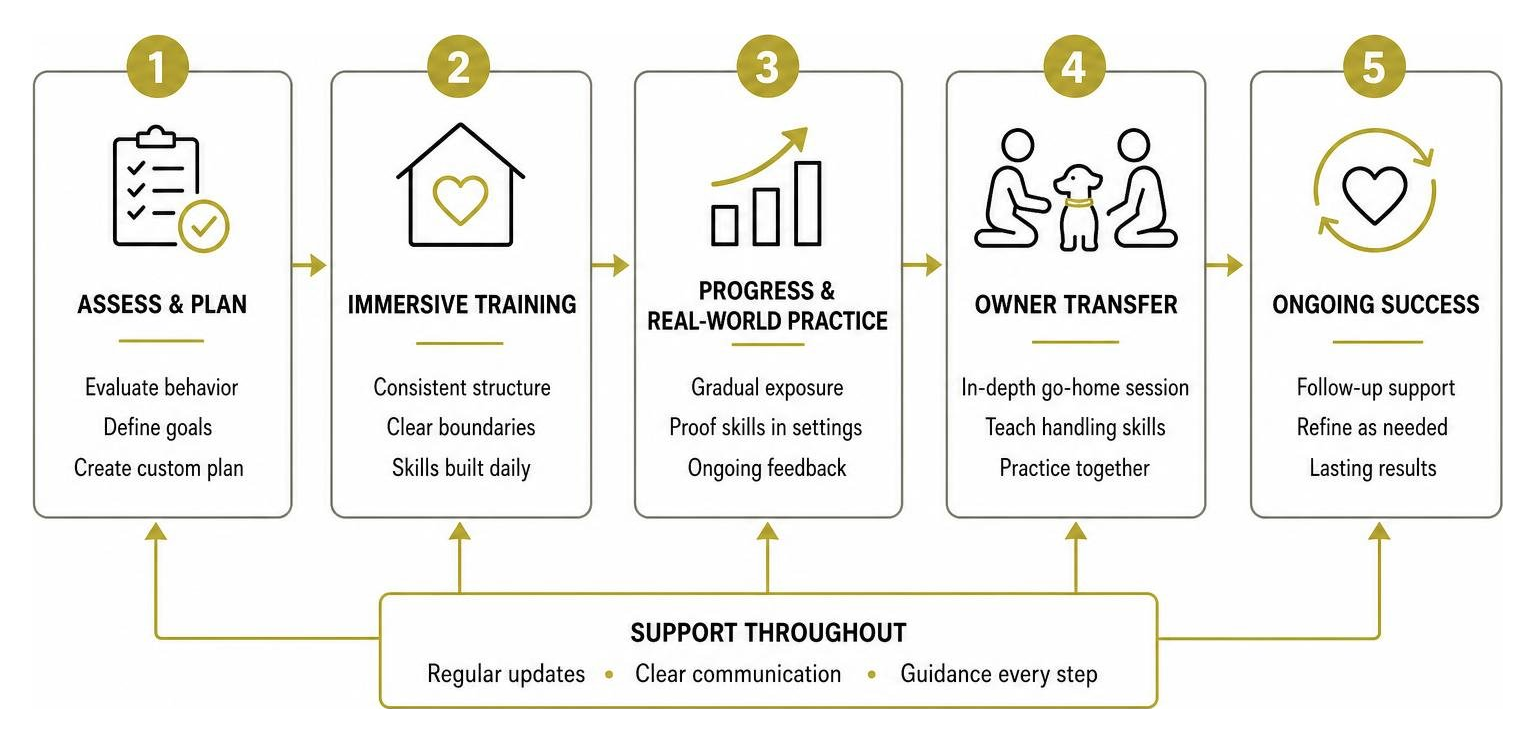 diagram of training progression and support flow