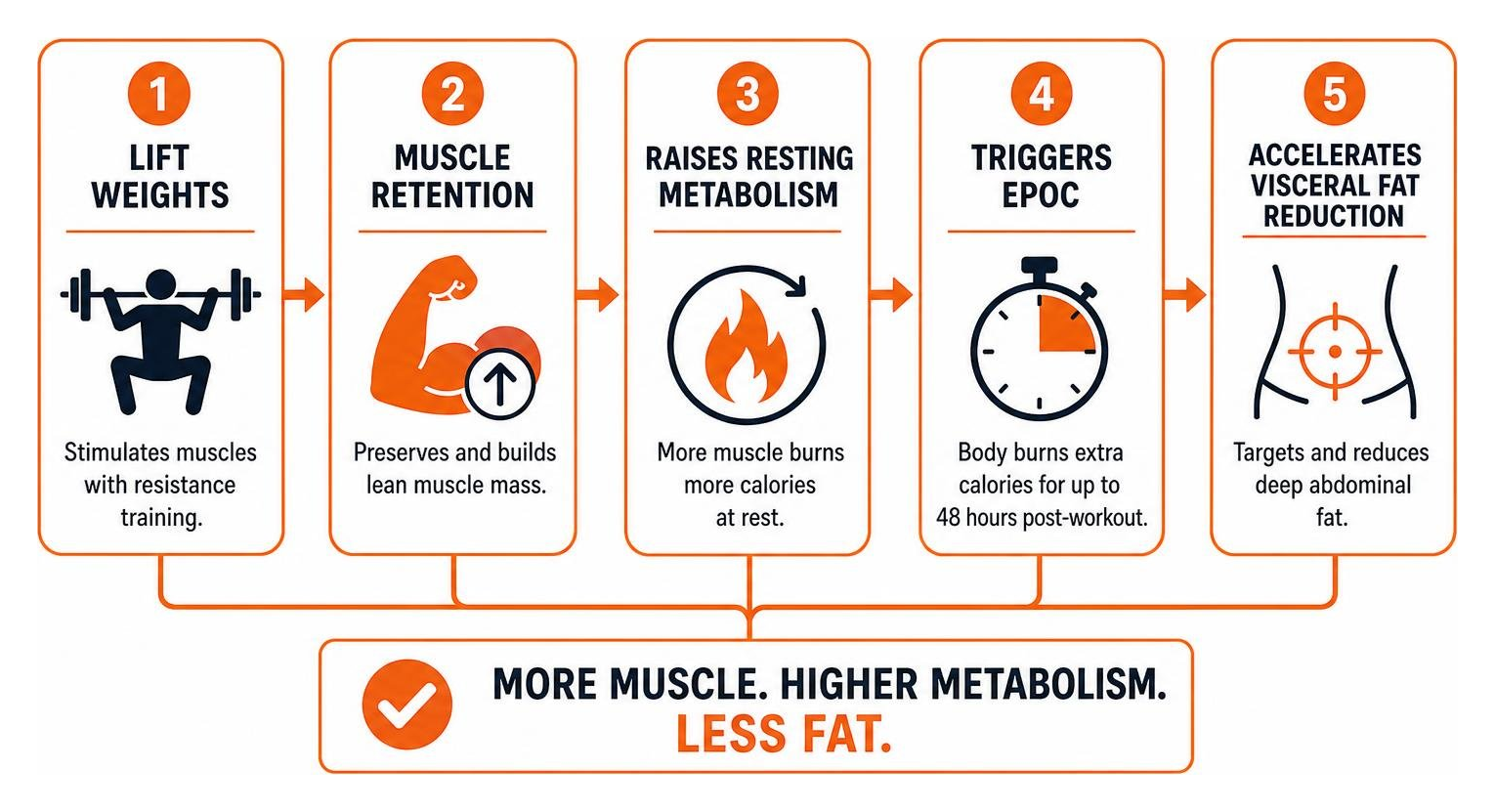 Diagram showing how lifting weights creates muscle retention, raises resting metabolism, triggers EPOC, and accelerates Diagram showing how lifting weights creates muscle retention, raises resting metabolism, triggers EPOC, and accelerates