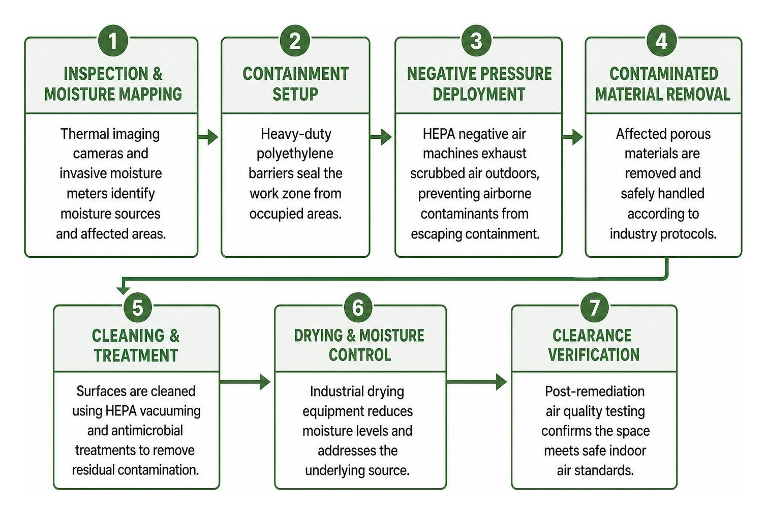 Professional mold remediation workflow from inspection to clearance Professional mold remediation workflow from inspection to clearance