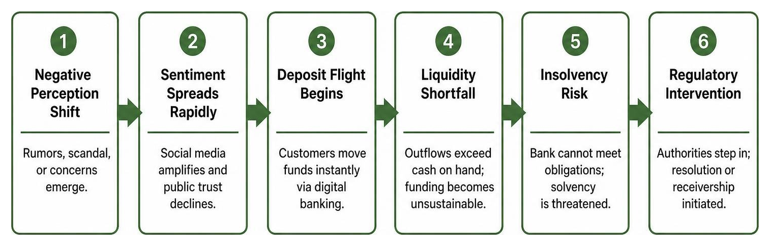 Sequence showing how public perception shifts trigger rapid deposit flight and banking insolvency