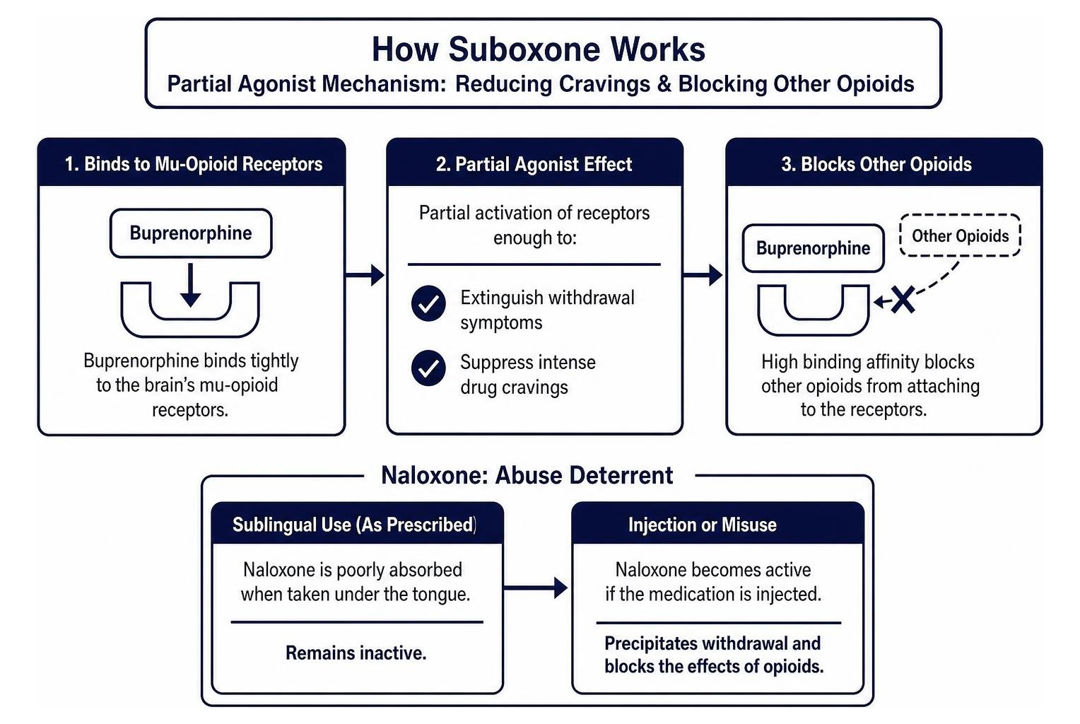 Suboxone partial agonist mechanism reducing cravings and blocking other opioids Suboxone partial agonist mechanism reducing cravings and blocking other opioids