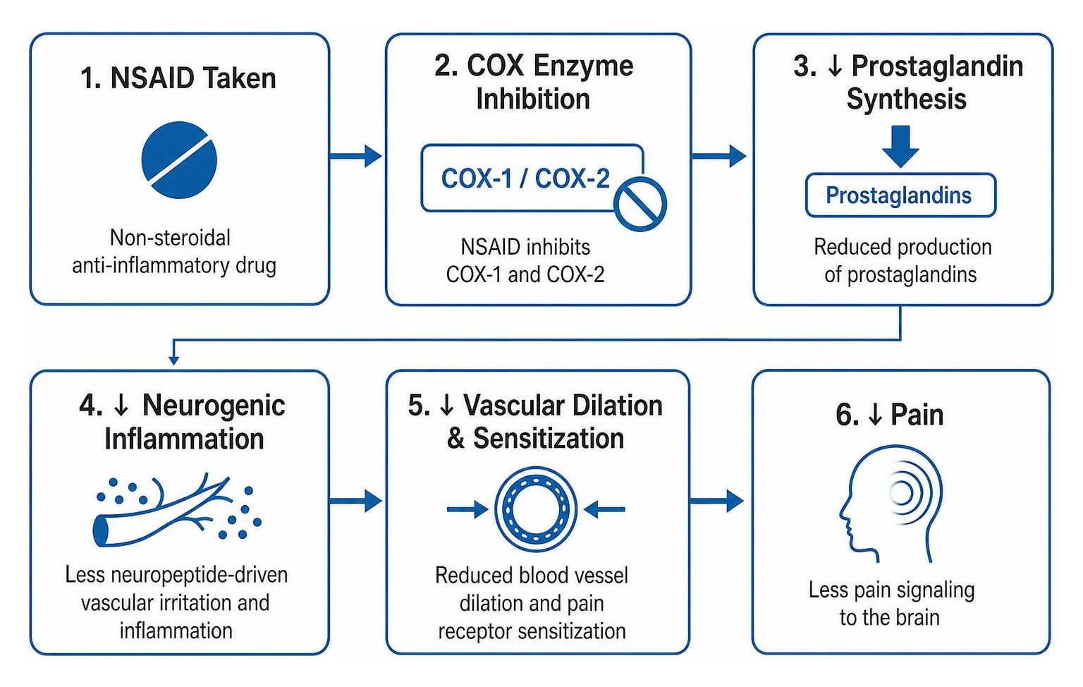 diagram of COX enzyme inhibition reducing prostaglandin synthesis and neurogenic inflammation diagram of COX enzyme inhibition reducing prostaglandin synthesis and neurogenic inflammation