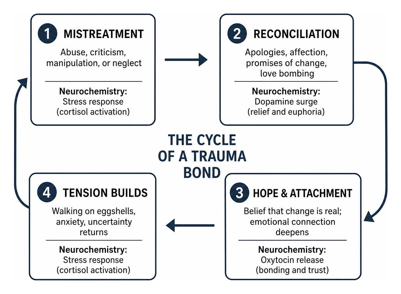 psychological and neurochemical cycle of a trauma bond psychological and neurochemical cycle of a trauma bond