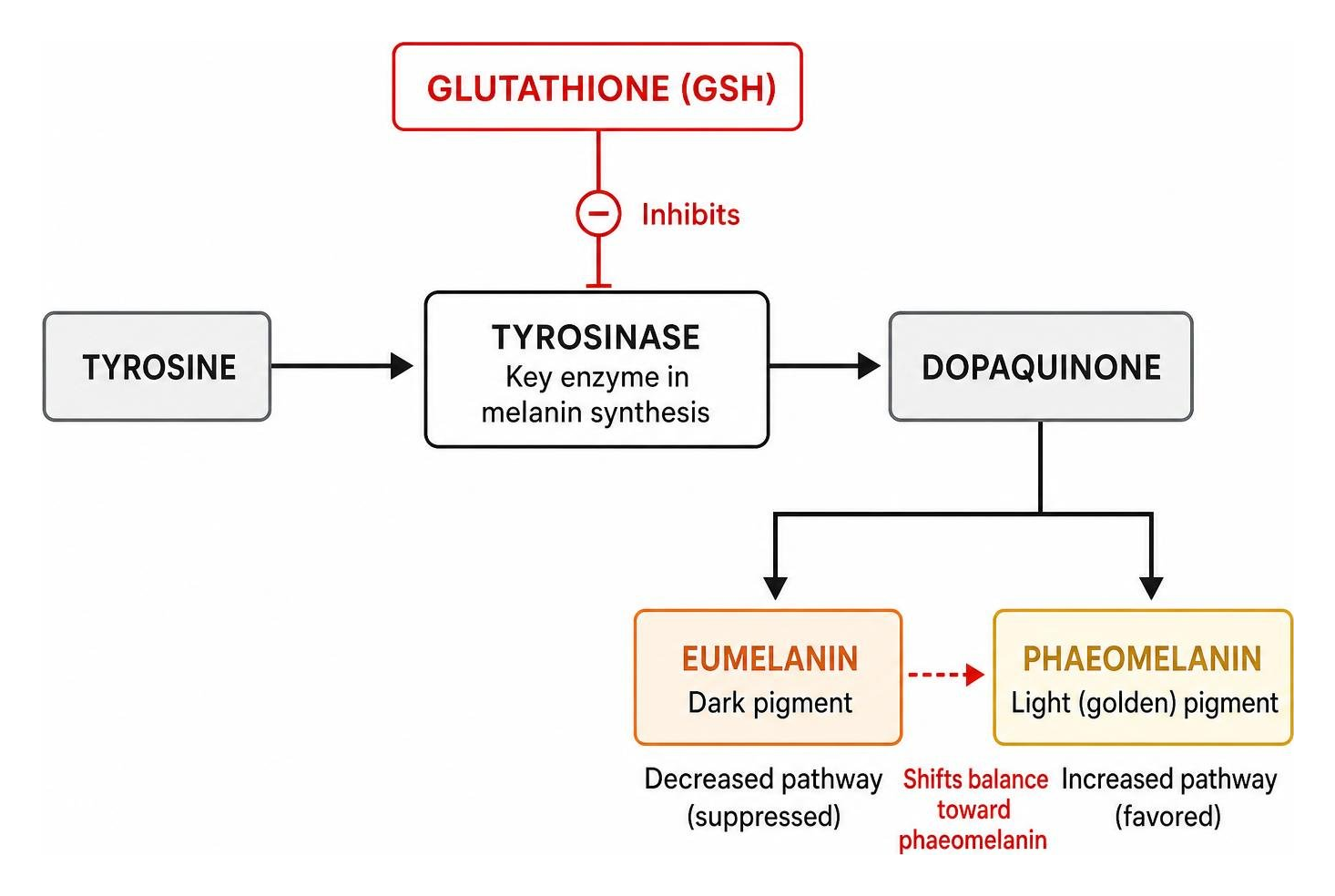 Glutathione IV Infusion: Powerful Wellness Boost