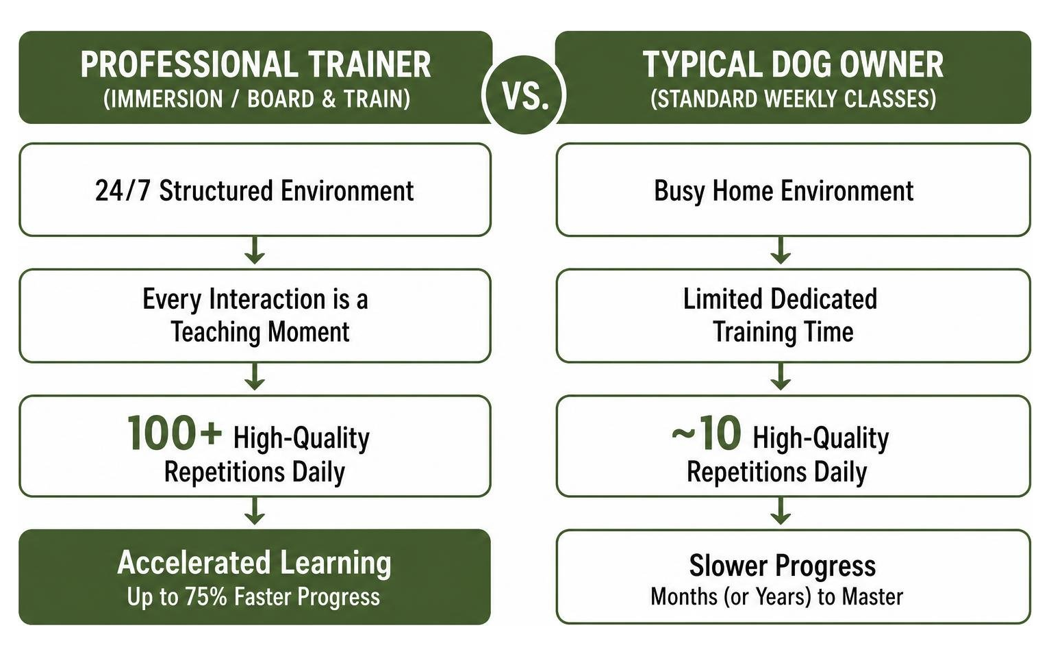Comparing the daily repetition rates of professional trainers vs typical dog owners