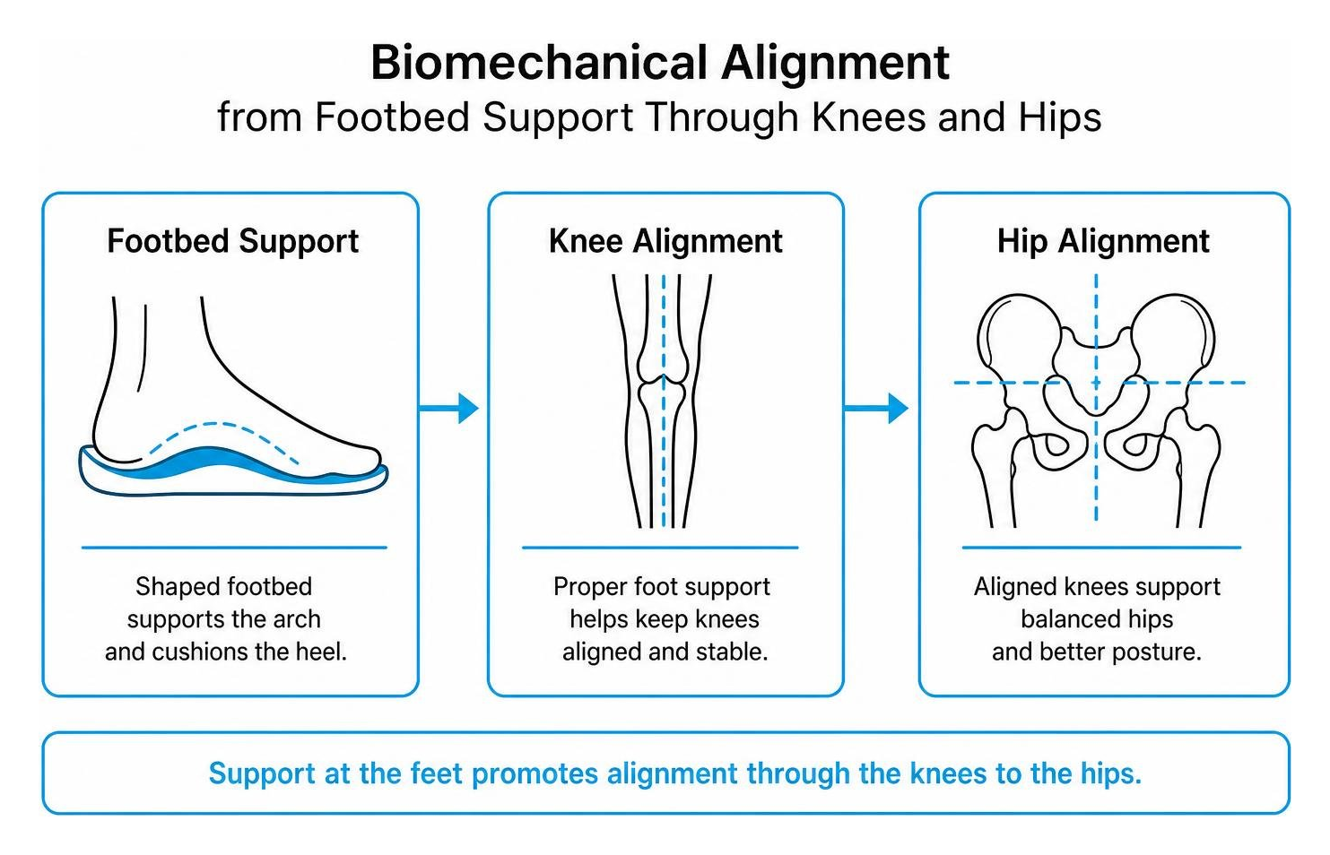 Biomechanical alignment from footbed support through knees and hips Biomechanical alignment from footbed support through knees and hips