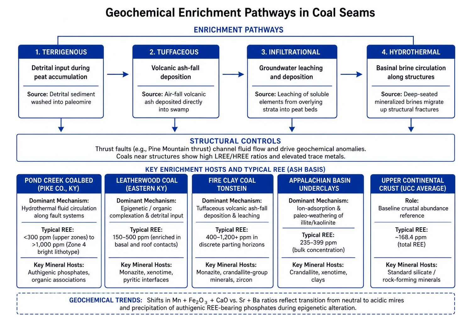 Geochemical enrichment pathways in coal seams