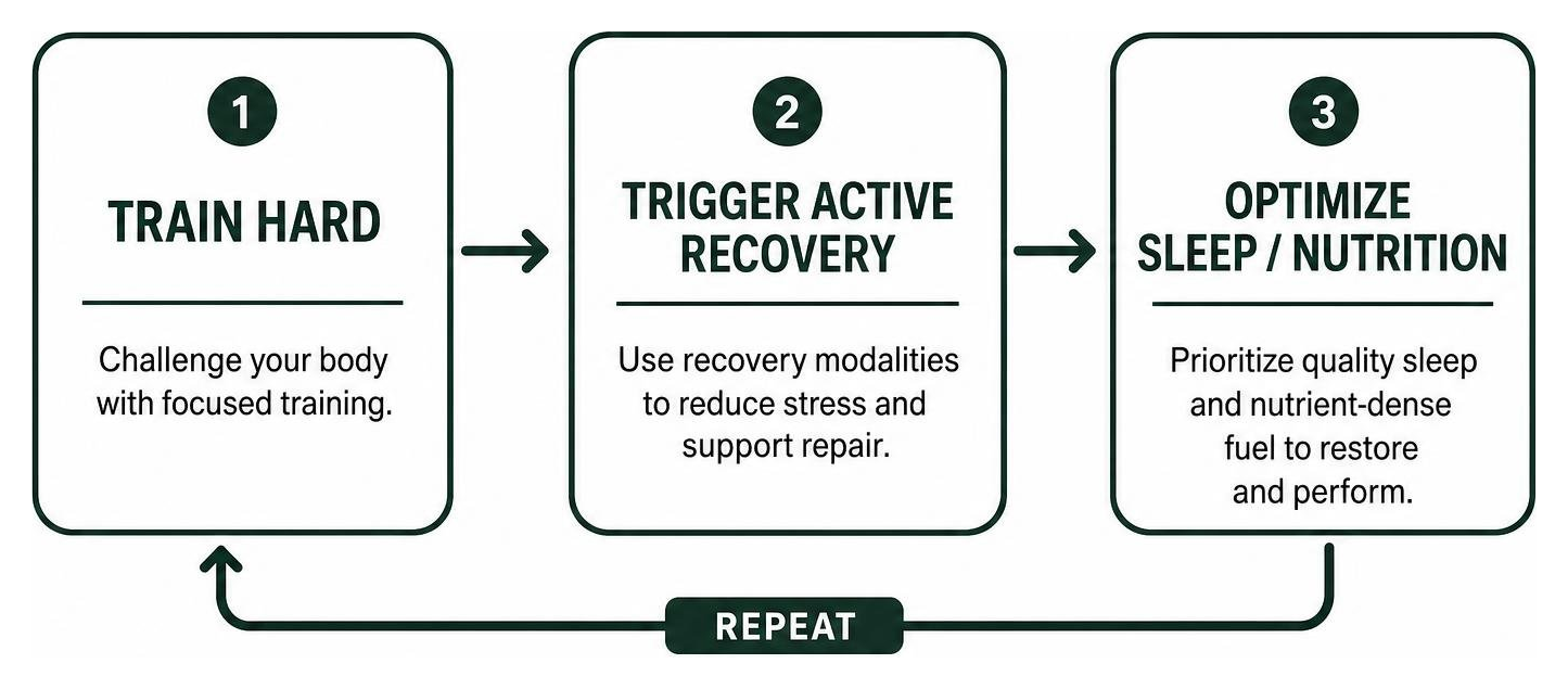 The Recovery Cycle: Train hard, trigger active recovery, and optimize sleep/nutrition The Recovery Cycle: Train hard, trigger active recovery, and optimize sleep/nutrition