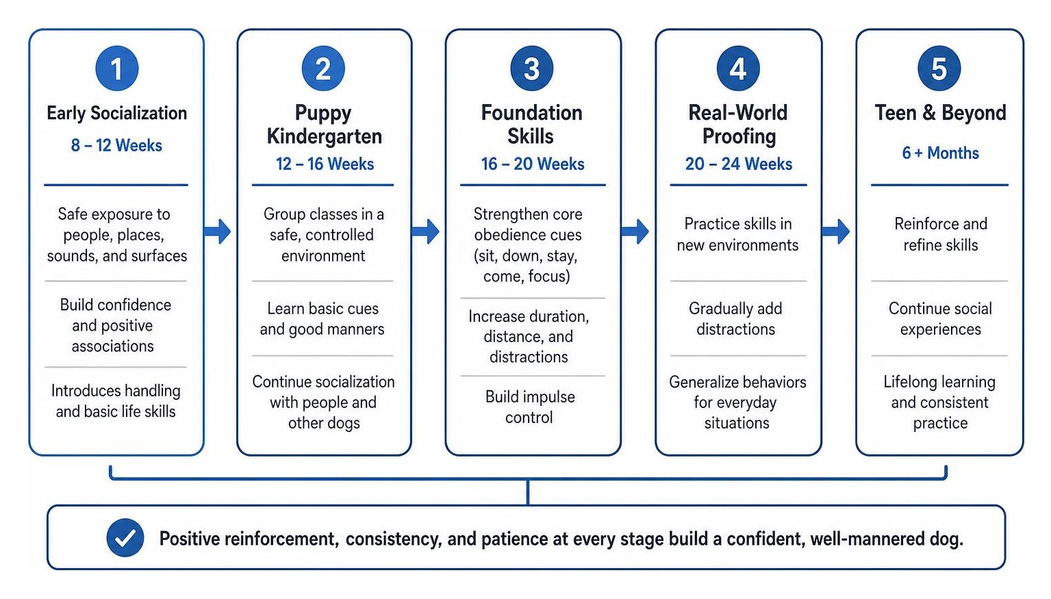 diagram showing the progression of puppy socialization and training stages diagram showing the progression of puppy socialization and training stages