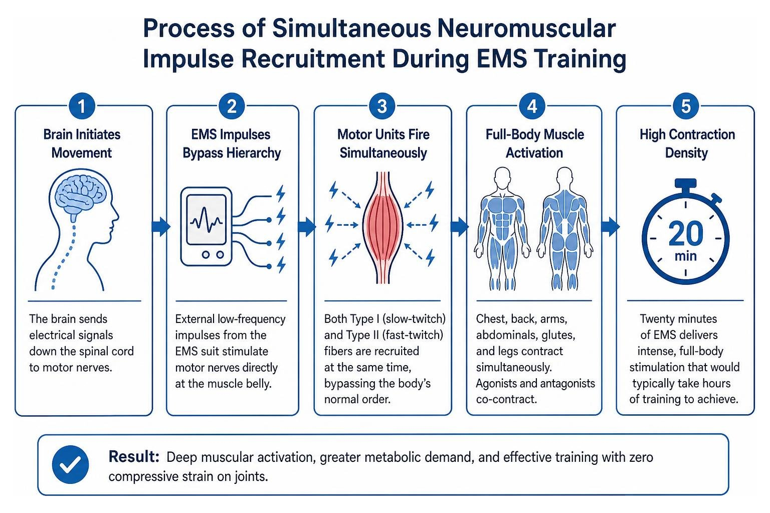 Process of simultaneous neuromuscular impulse recruitment during EMS training Process of simultaneous neuromuscular impulse recruitment during EMS training
