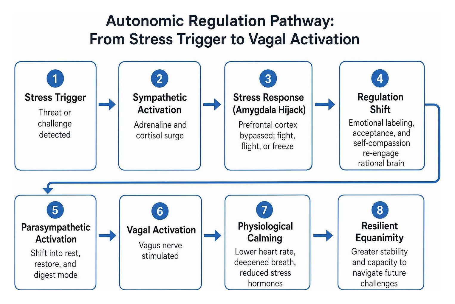 Autonomic regulation pathway from stress trigger to vagal activation Autonomic regulation pathway from stress trigger to vagal activation