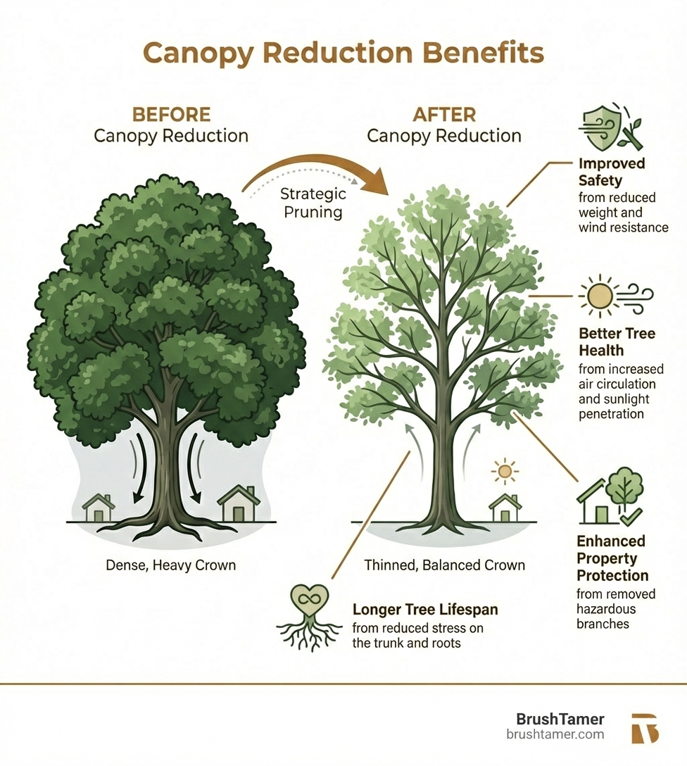 Infographic showing a side-by-side comparison of a tree before canopy reduction with a dense, heavy crown and after canopy reduction with a thinned, balanced crown; labels pointing to key benefits including Improved Safety from reduced weight and wind resistance, Better Tree Health from increased air circulation and sunlight penetration, Enhanced Property Protection from removed hazardous branches, and Longer Tree Lifespan from reduced stress on the trunk and roots - canopy reduction for Northern Indiana infographic 
