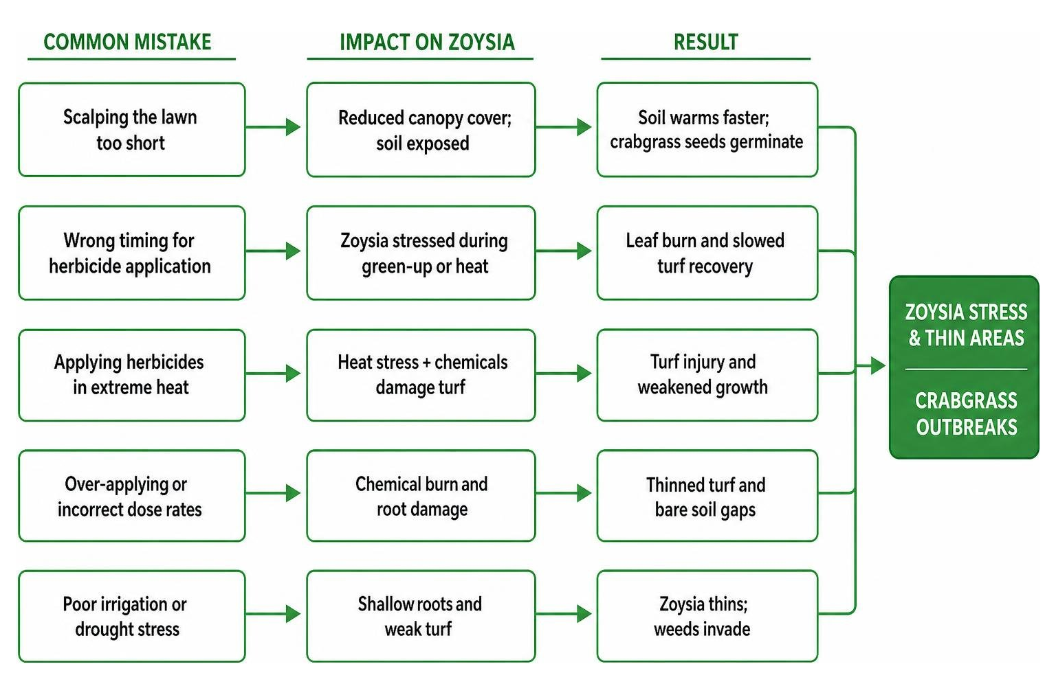 Flowchart of common lawn management mistakes leading to zoysia stress and crabgrass outbreaks