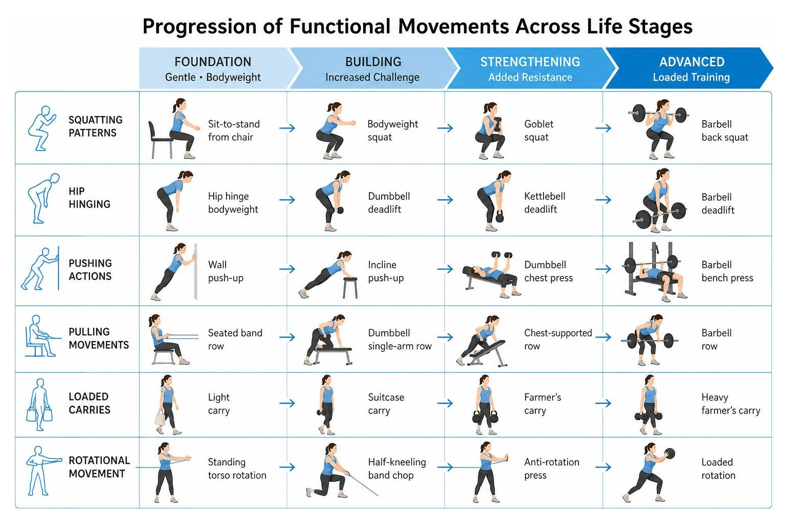 Diagram showing progression of functional movements across life stages from gentle bodyweight moves to loaded exercises Diagram showing progression of functional movements across life stages from gentle bodyweight moves to loaded exercises