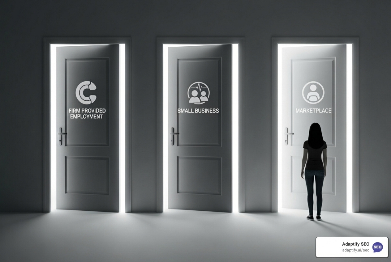 Flowchart showing health insurance options based on employment status - Health insurance for accountants