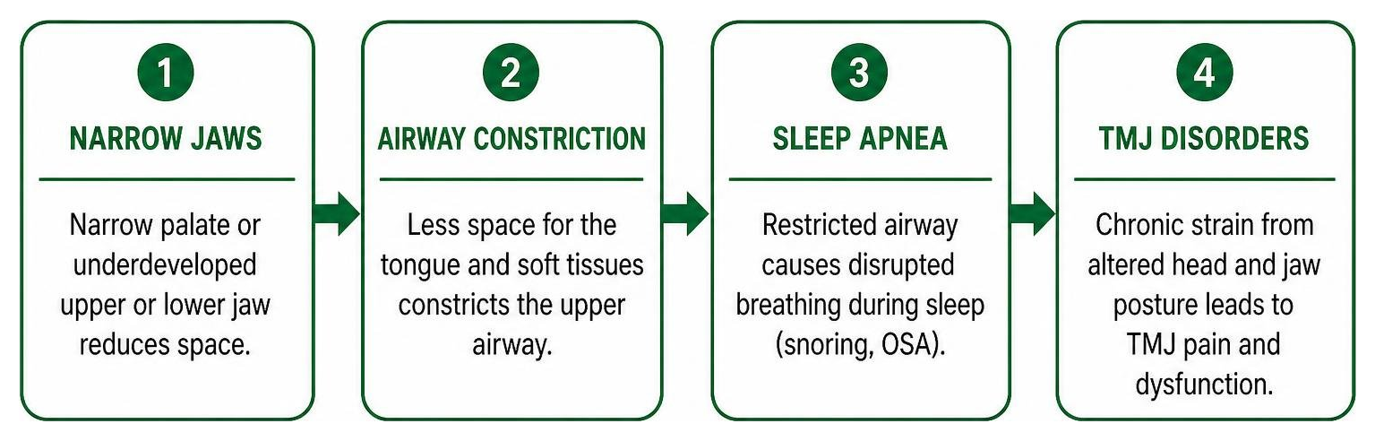 Cause and effect chain connecting narrow jaws to airway constriction, sleep apnea, and TMJ disorders