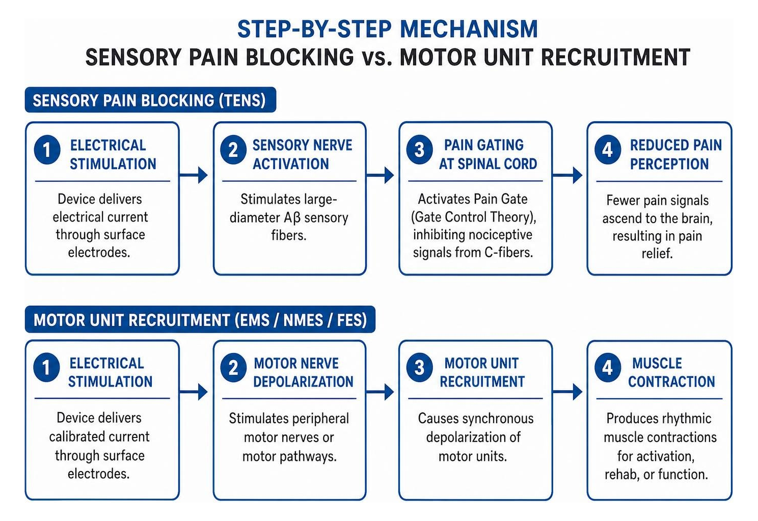 Step-by-step mechanism of sensory pain blocking versus motor unit recruitment