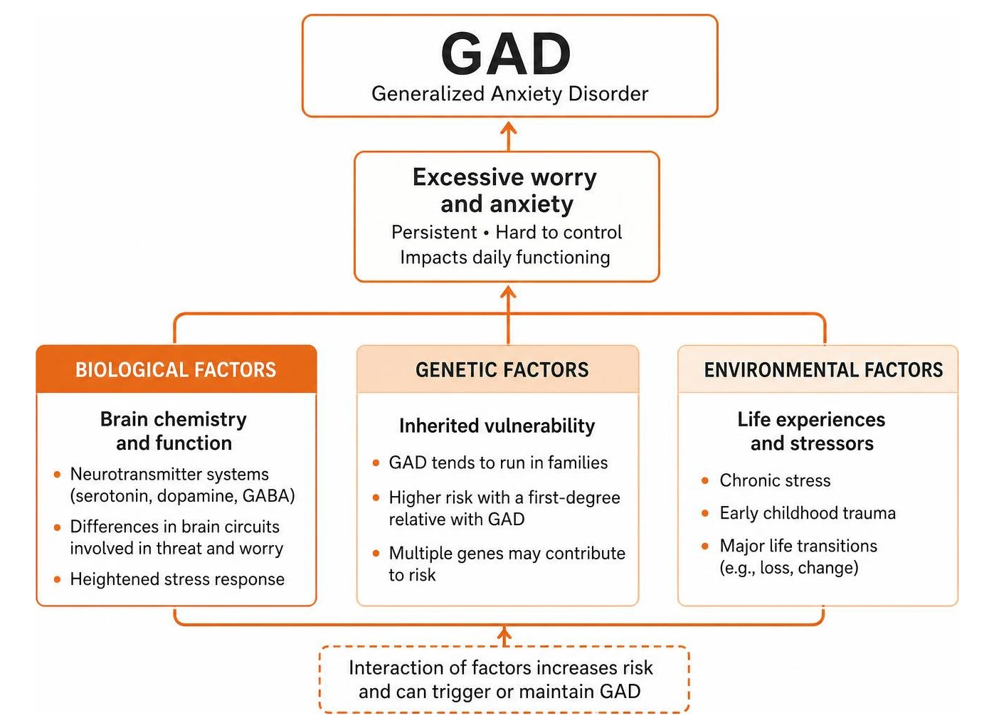 A diagnostic and causal framework diagram showing the biological, genetic, and environmental factors of GAD A diagnostic and causal framework diagram showing the biological, genetic, and environmental factors of GAD