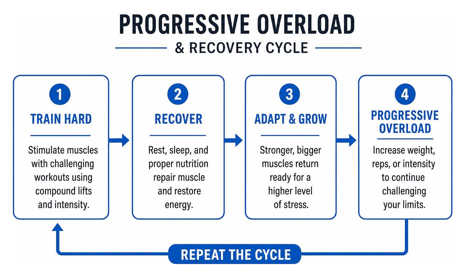 diagram showing progressive overload and recovery cycle