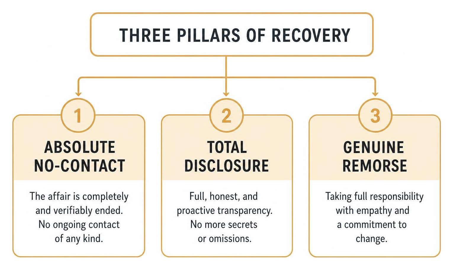 diagram showing the three pillars of recovery: absolute no-contact, total disclosure, and genuine remorse diagram showing the three pillars of recovery: absolute no-contact, total disclosure, and genuine remorse
