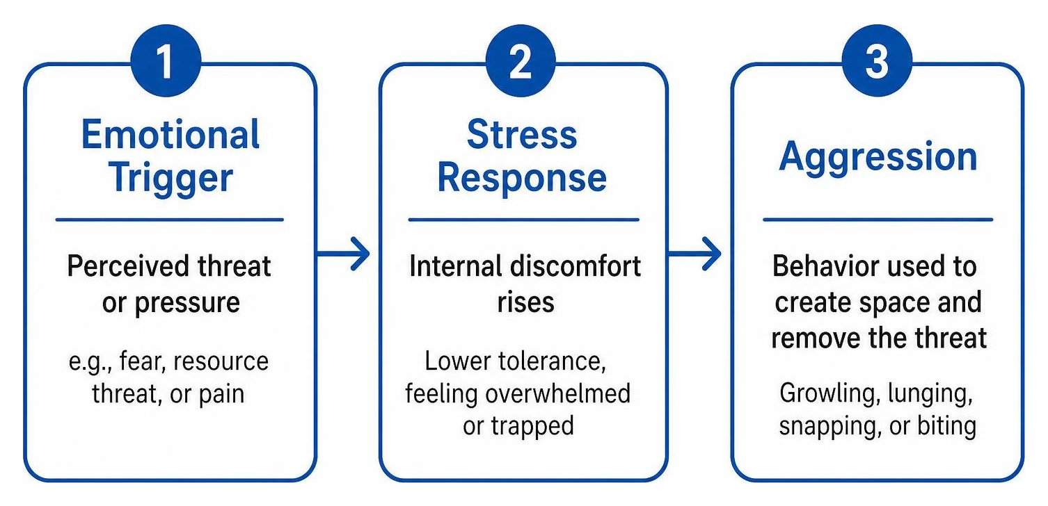 Diagram showing the progression from emotional trigger to stress response and aggression