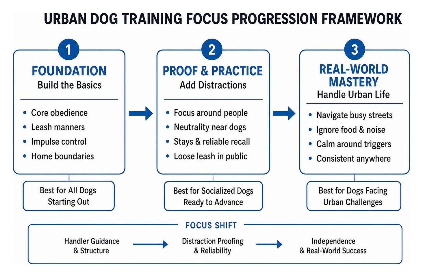 Urban dog training focus progression framework Urban dog training focus progression framework
