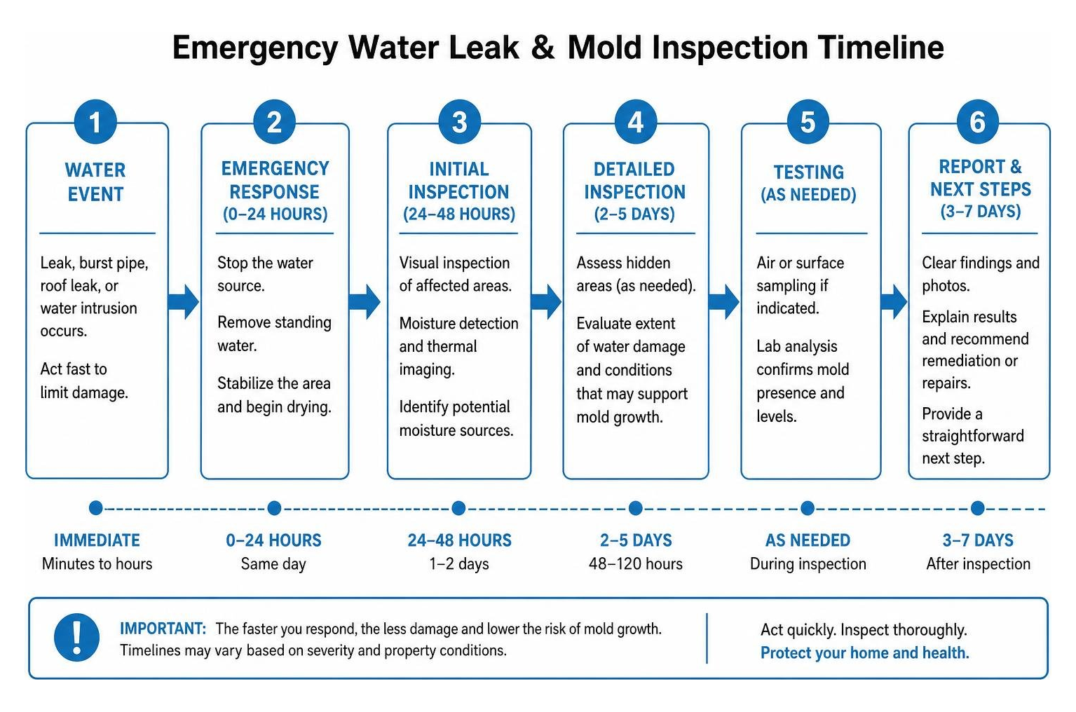 Emergency water leak and mold inspection timeline Emergency water leak and mold inspection timeline