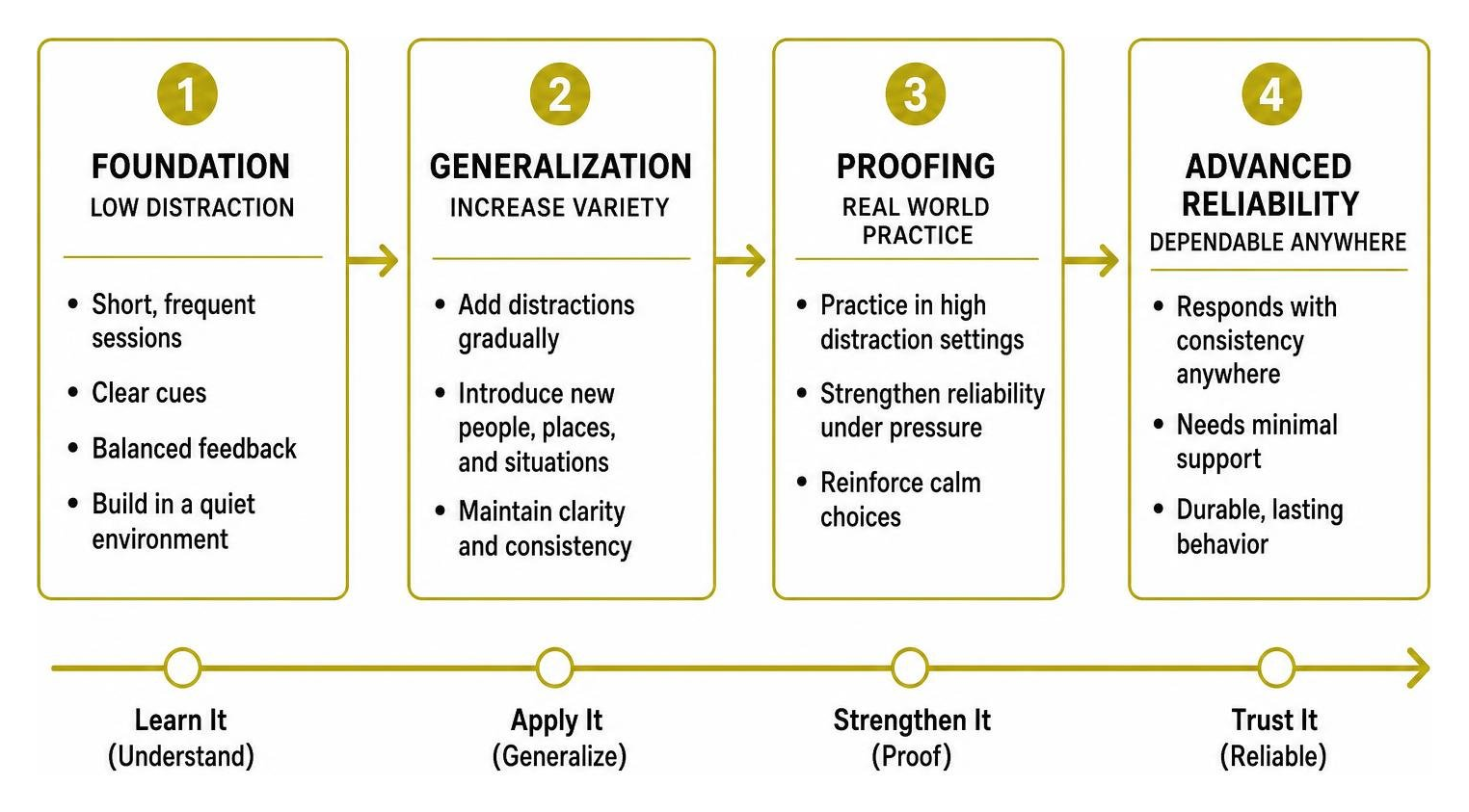 Behavior training progression from foundational mechanics to advanced reliability