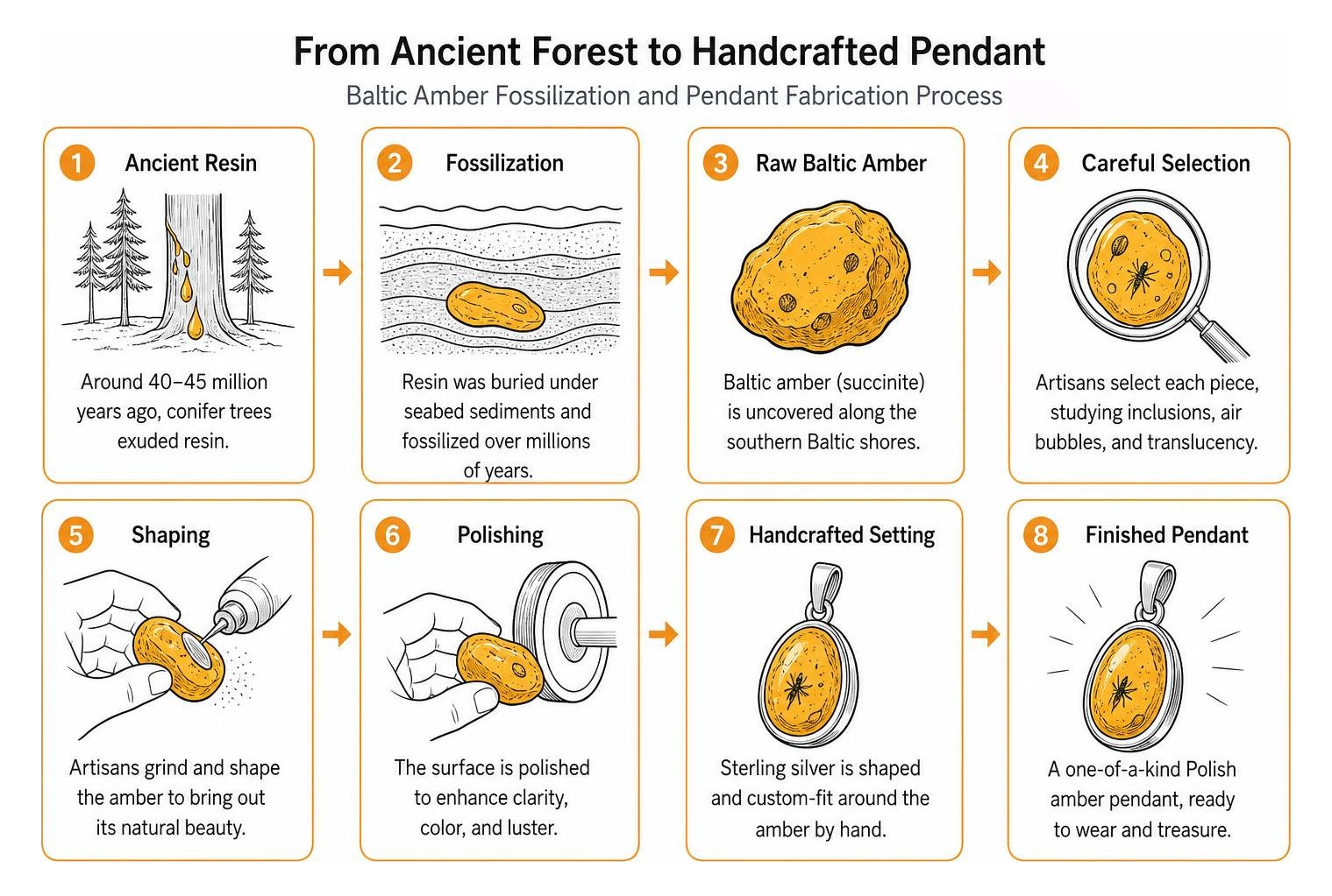 Diagram of Baltic amber fossilization and handcrafted pendant fabrication steps